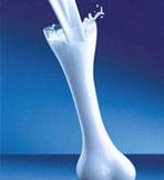 Bone Health